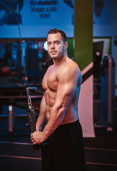 Athletic man doing excersise on triceps with hand pull machine in a modern gym — Zdjęcie stockowe