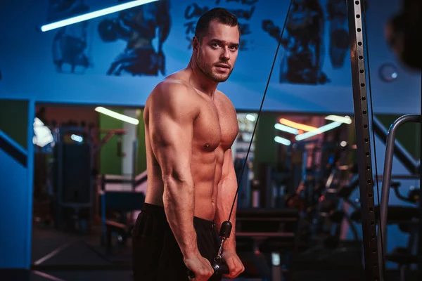 Athletic man doing excersise on triceps with hand pull machine in a modern gym — Zdjęcie stockowe