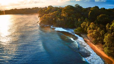 Tropikal bir sahilin havadan görünüşü. Okyanus manzarası, beyaz kumlu bir sahilde palmiye ağaçlarıyla çevrili.