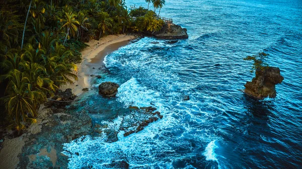Vista aerea di una costa tropicale. Paesaggio oceanico circondato da palme su una spiaggia di sabbia bianca — Foto Stock