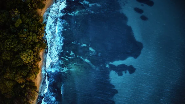 Letecký pohled na tropické pobřeží. Oceán scenérie obklopen palmami na pláži s bílým pískem — Stock fotografie