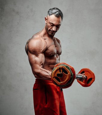 Yakışıklı kaslı adam, gri arka planda izole edilmiş, güçlü vücudunu ve kaslarını halterle egzersiz yaparken gösteriyor.
