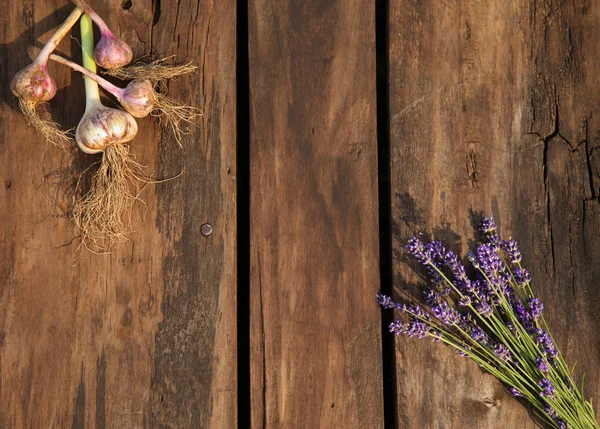라벤더 꽃과 마늘 — 스톡 사진