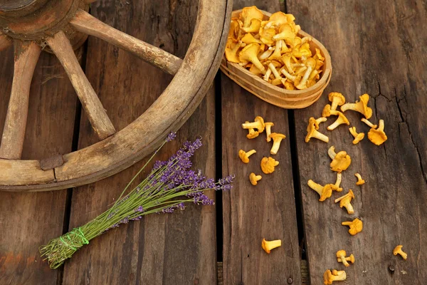 Chanterelles and lavender on wooden background with cartwheel — Stock Photo, Image