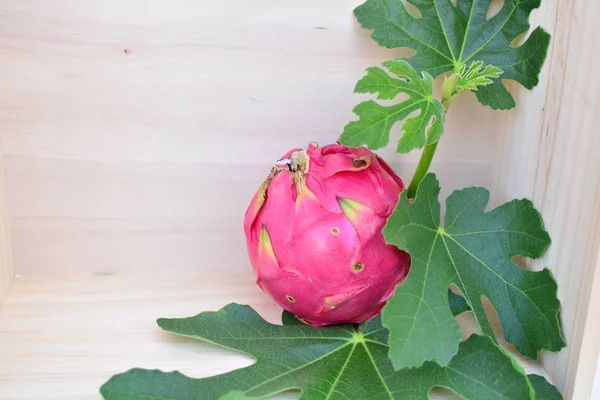 Pithaya o Fruta del dragon