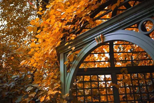 Beautiful gazebo surrounded by autumn leaves, landscape — Stock Photo, Image