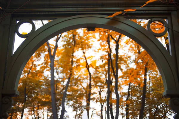 Gates in autumn. Beautiful gazebo surrounded by leaves, landscape — Stock Photo, Image