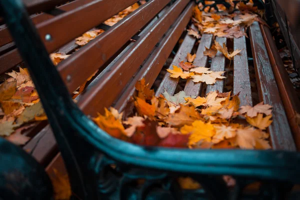 Πολλοί πάγκοι το φθινόπωρο του πάρκου καλύπτεται με φύλλα, γκρο πλαν — Φωτογραφία Αρχείου