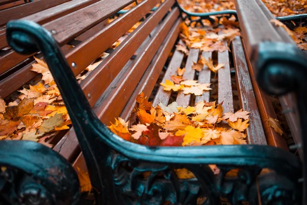 Many of benches in autumn Park covered with leaves, close-up — Stock Photo, Image