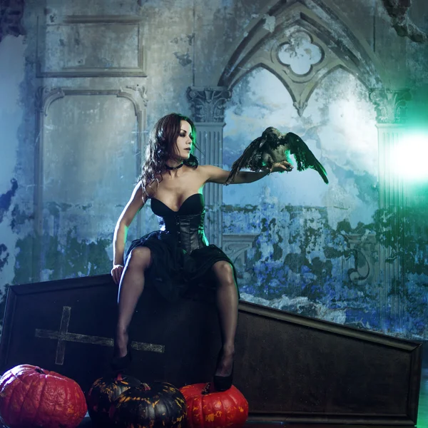 Giovane e sexy donna, immagine di streghe in un cimitero seduta su una bara coperchio con il corvo sulla mano — Foto Stock