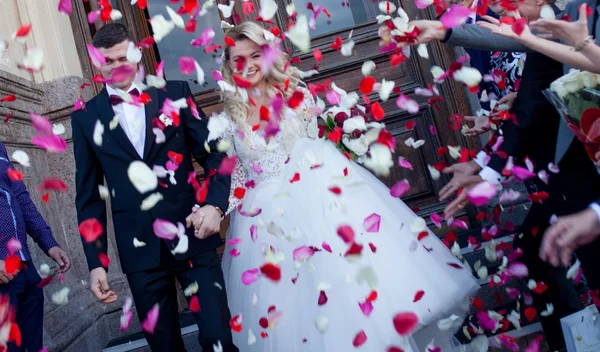 美しい若いカップルでは、花嫁と花婿。ソファーに座ってください。 — ストック写真