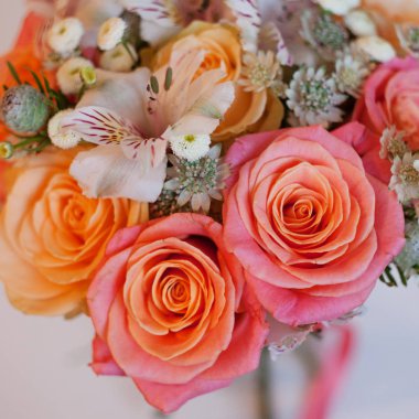 güzel yemyeşil buket gül, turkuaz arka plan, hediye