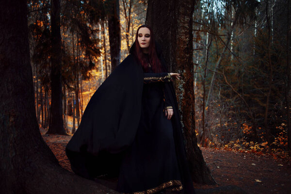 Young beautiful and mysterious woman in the woods, in a black cloak with a hood, the image of a forest elf or witch