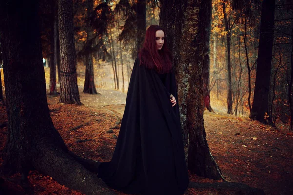 Young beautiful and mysterious woman in woods, in black cloak with hood, image of forest elf or witch — Stock Photo, Image