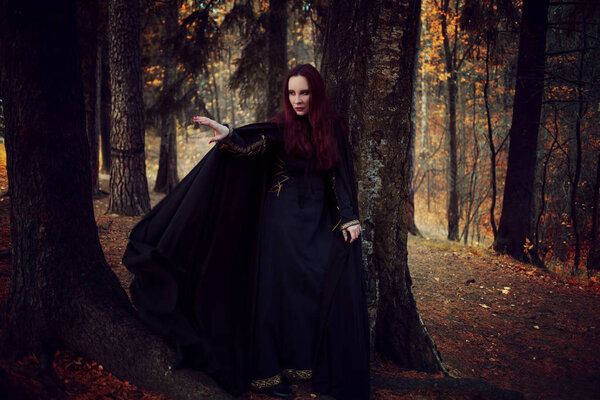 Young beautiful and mysterious woman in the woods, in a black cloak with a hood, the image of a forest elf or witch