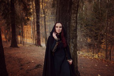 Genç güzel ve gizemli kadın ormanda hood, orman elf ya da cadı görüntü ile siyah pelerin