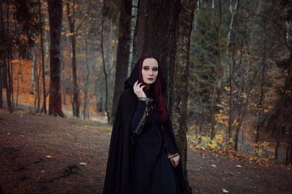 Joven mujer hermosa y misteriosa en el bosque, en capa negra con capucha, imagen de elfo bosque o bruja — Foto de Stock
