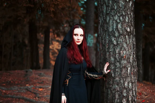 Giovane donna bella e misteriosa nel bosco, in mantello nero con cappuccio, immagine di elfo della foresta o strega — Foto Stock