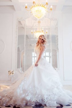 Lüks düğün elbise genç güzel gelin. Tren ile dev kabarık etek.