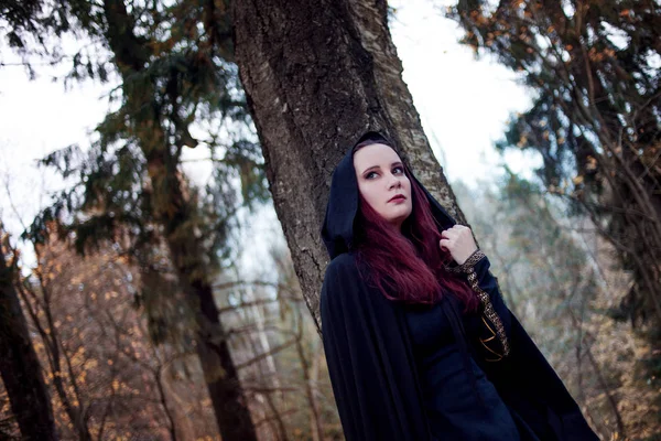 Young beautiful and mysterious woman in woods, in black cloak with hood, image of forest elf or witch — Stock Photo, Image