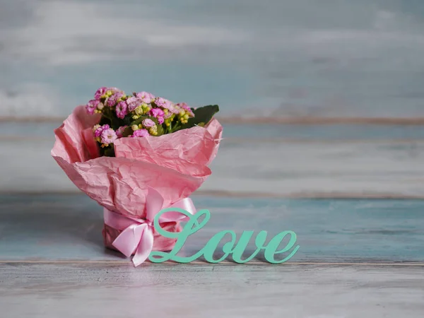Mooie pot van bloemen verpakt in roze papier, cadeau. Veel liefs — Stockfoto