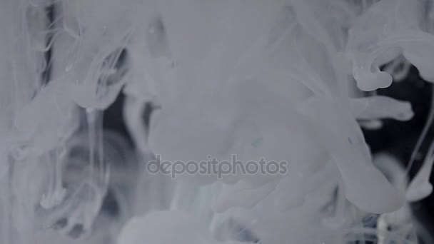 Patrón abstracto. Movimiento de pintura en blanco y negro en el agua — Vídeo de stock