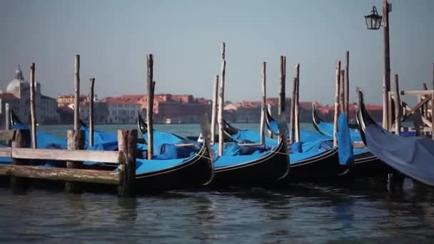 Gondoler förtöjd av Markusplatsen fyrkantig med San Giorgio di Maggiore-kyrkan i Venedig — Stockvideo