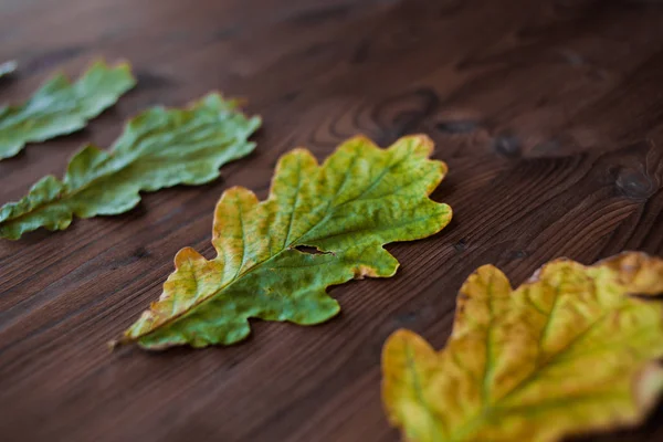 Όμορφη δρύινα φύλλα σε ξύλινο υπόβαθρο. Πλάγια όψη — Φωτογραφία Αρχείου
