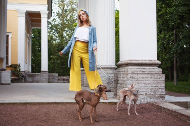 Sarı pantolon, mavi ceket ve türban şık Bayan