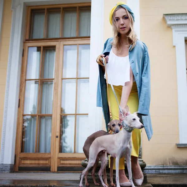 スタイリッシュな美しい若い女性が犬を連れて散歩します。 — ストック写真