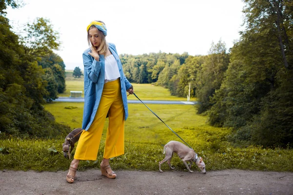 Mujer joven con dos galgos italianos. exterior —  Fotos de Stock