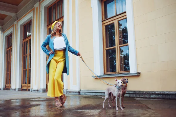 Elegante y hermosa mujer joven pasea con perros — Foto de Stock