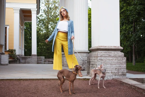 Sarı pantolon, mavi ceket ve türban şık Bayan