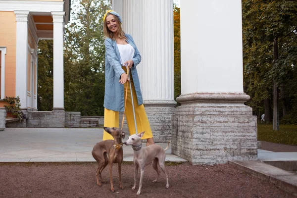 Élégante et belle jeune femme promenades avec des chiens — Photo