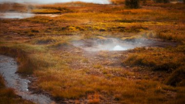 İzlanda, geysers Vadisi, yaylar sıcak jeotermal su