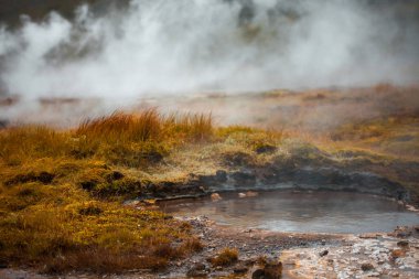 Iceland, valley of geysers, springs of hot geothermal water clipart