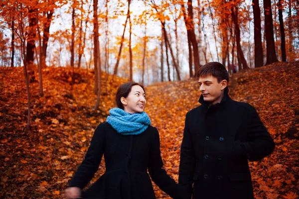 Neşeli adam ve kız Park, el ele tutuşarak sonbaharda