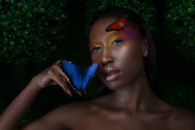 Genç ve güzel siyah model egzotik görünümlü parlak mavi kelebek