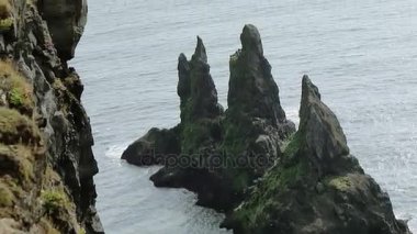Uçurumlar, İzlanda, bir panorama üzerinde kuş kolonisi