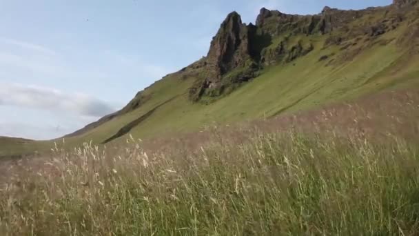 Viento en la hierba al pie de la montaña, hermosa naturaleza de Islandia — Vídeo de stock