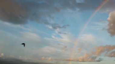 Akşam gökyüzünde inanılmaz gökkuşağı. Kamera önünde gökyüzünde Kuşlar uçar