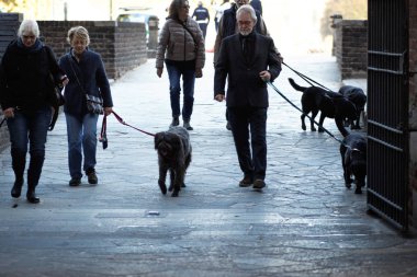 Milan, İtalya - 9 Ekim 2017: grup insanlar köpekleri ile