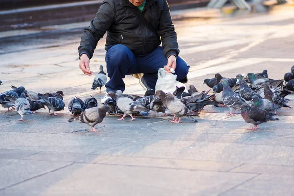 Mailand, Italien - 9. Oktober 2017: Mann füttert Tauben auf dem Platz — Stockfoto
