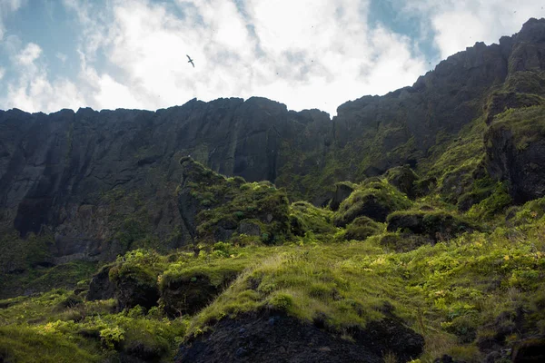 Island, hohe Bergklippe.. schöne Landschaft — Stockfoto