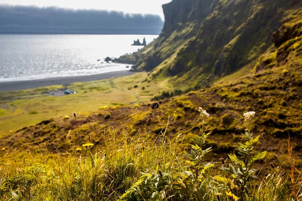 Исландия, черные пляжи. Красивый пейзаж — стоковое фото