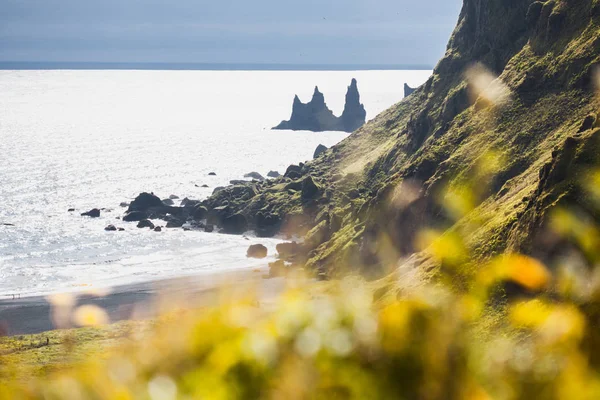 Island, schwarze Strände. schöne Landschaft — Stockfoto