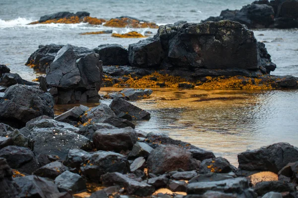 Djupalonssandur beach Snaefellsnes Island. Island, vackra norra landskapet — Stockfoto