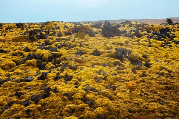 Stora lavafält på Island. — Stockfoto