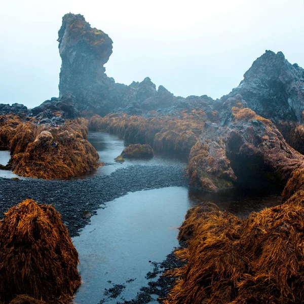 Djupalonssandur strand Snaefellsnes Izland. Izland, gyönyörű északi táj — Stock Fotó