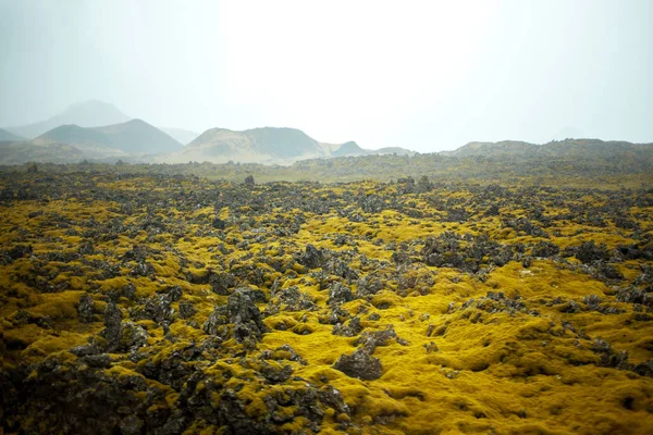 Vastos campos de lava na Islândia . — Fotografia de Stock